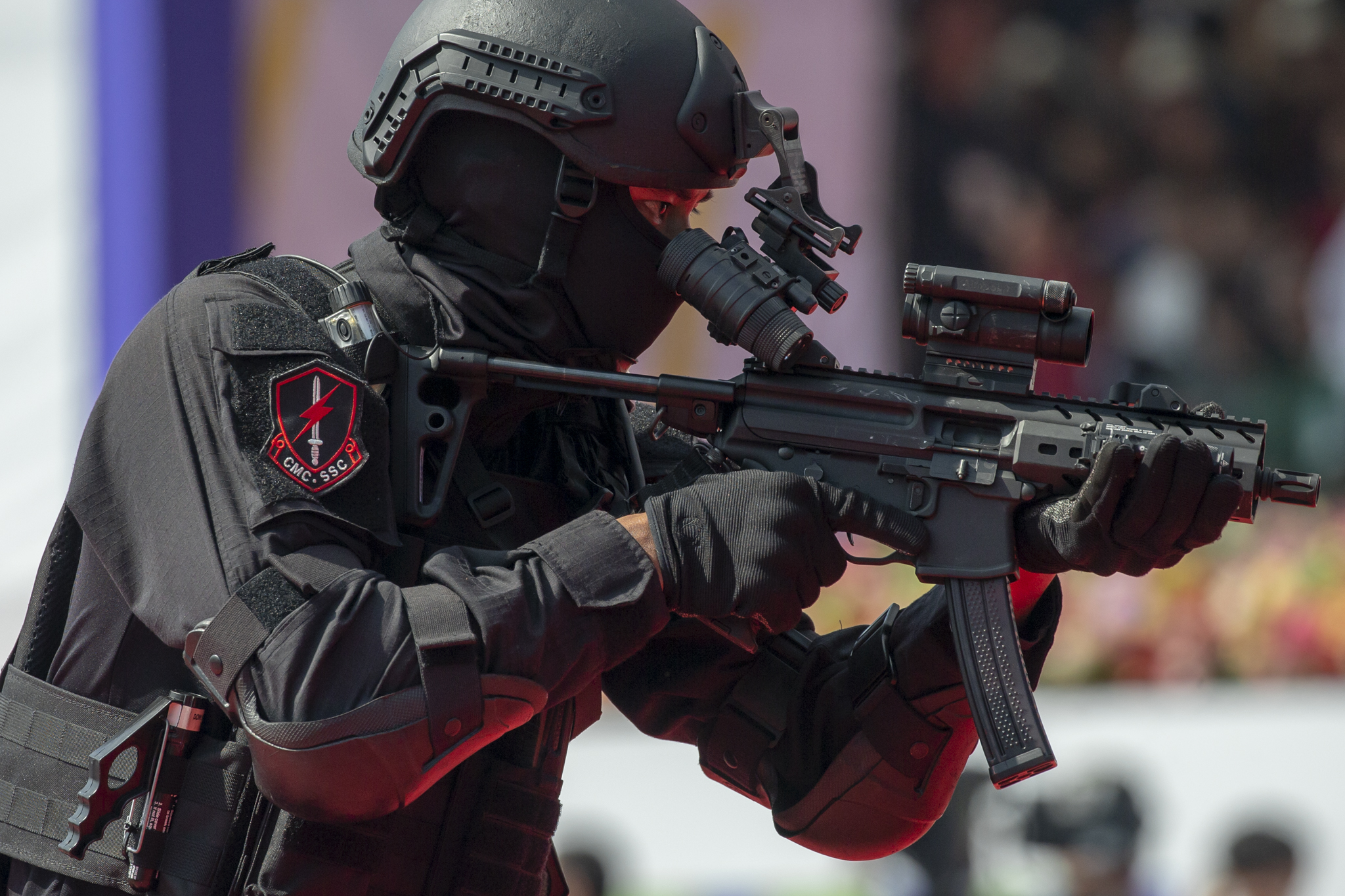 SIG MPX