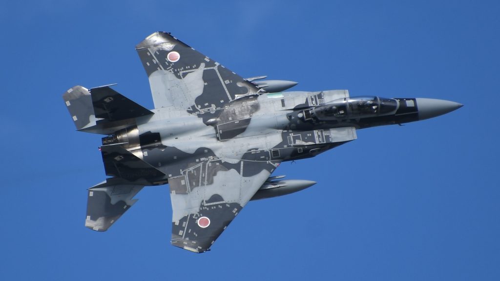 航空自衛隊 航空戦術教導団 飛行教導群所属のアグレッサー機 (Mitsubishi F-15DJ Eagle)_4