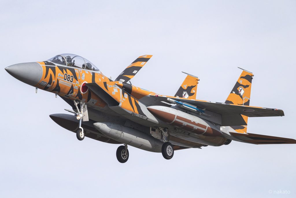 航空自衛隊 航空戦術教導団 飛行教導群所属のアグレッサー機 (Mitsubishi F-15DJ Eagle)_7