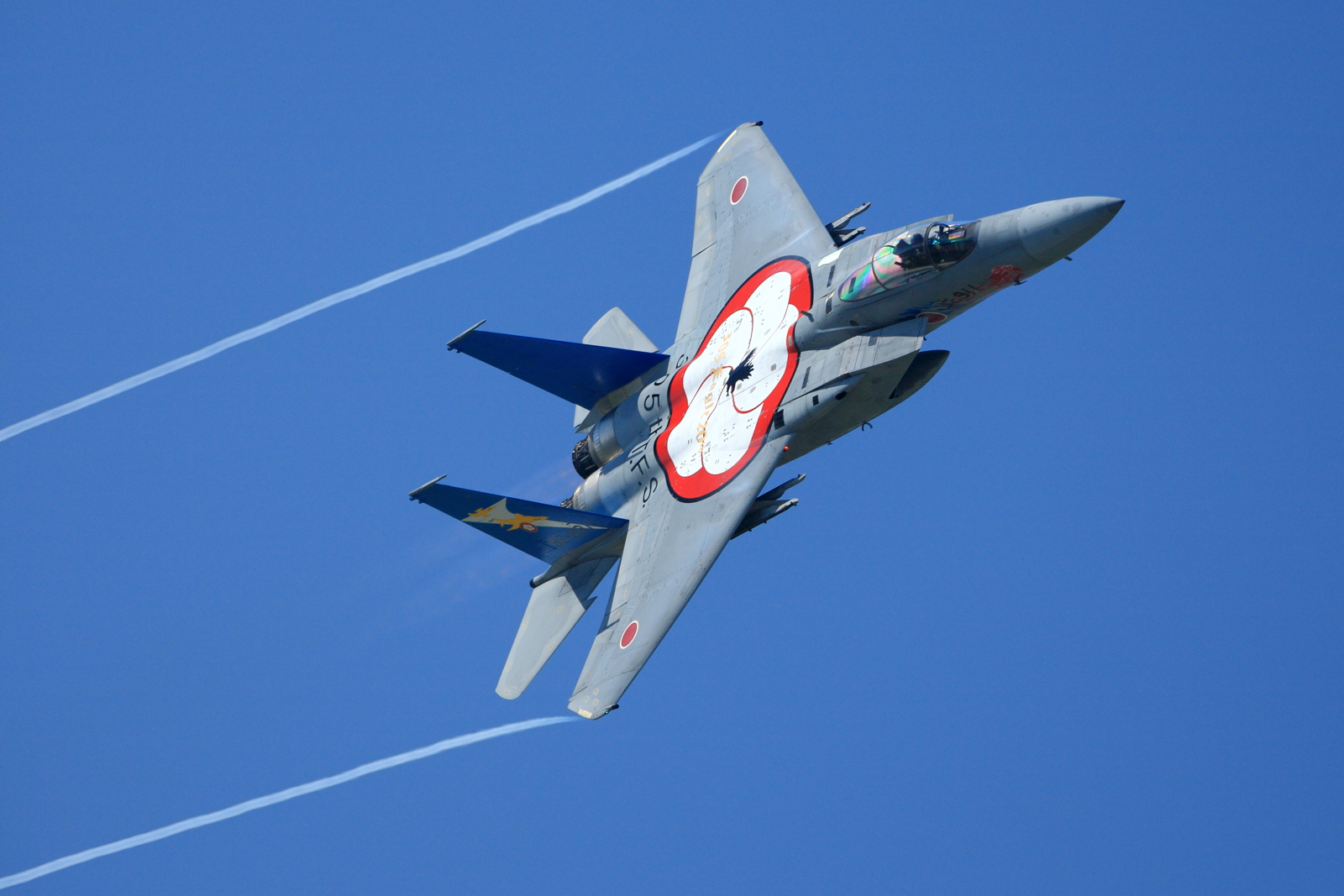 Mitsubishi F-15J