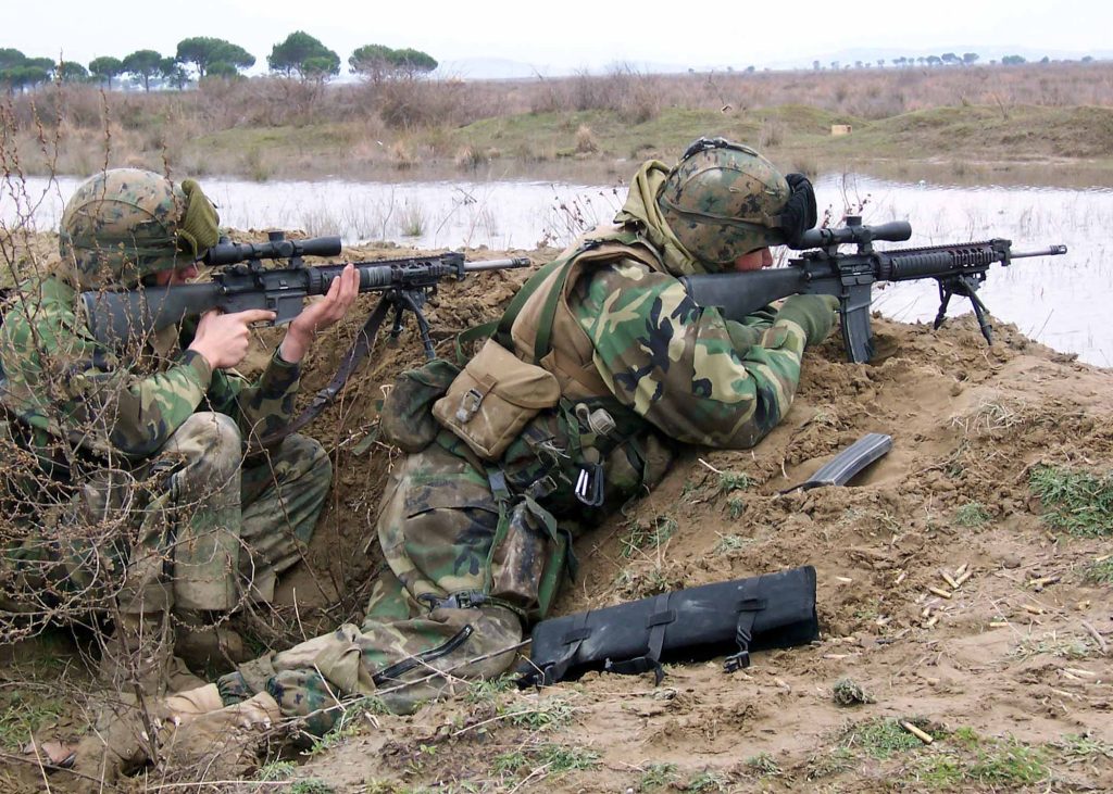M38 DMR (Designated Marksman Rifle)