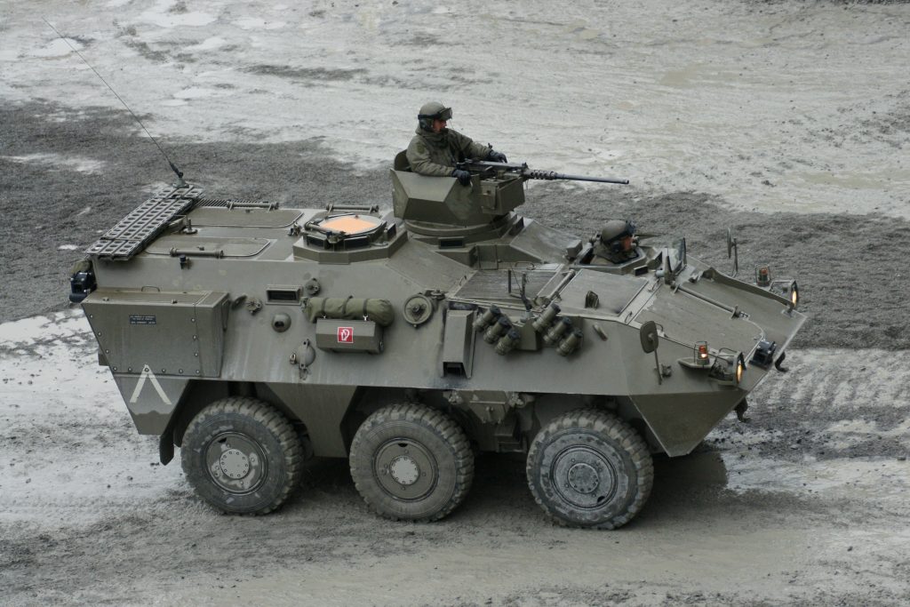 Pandur I