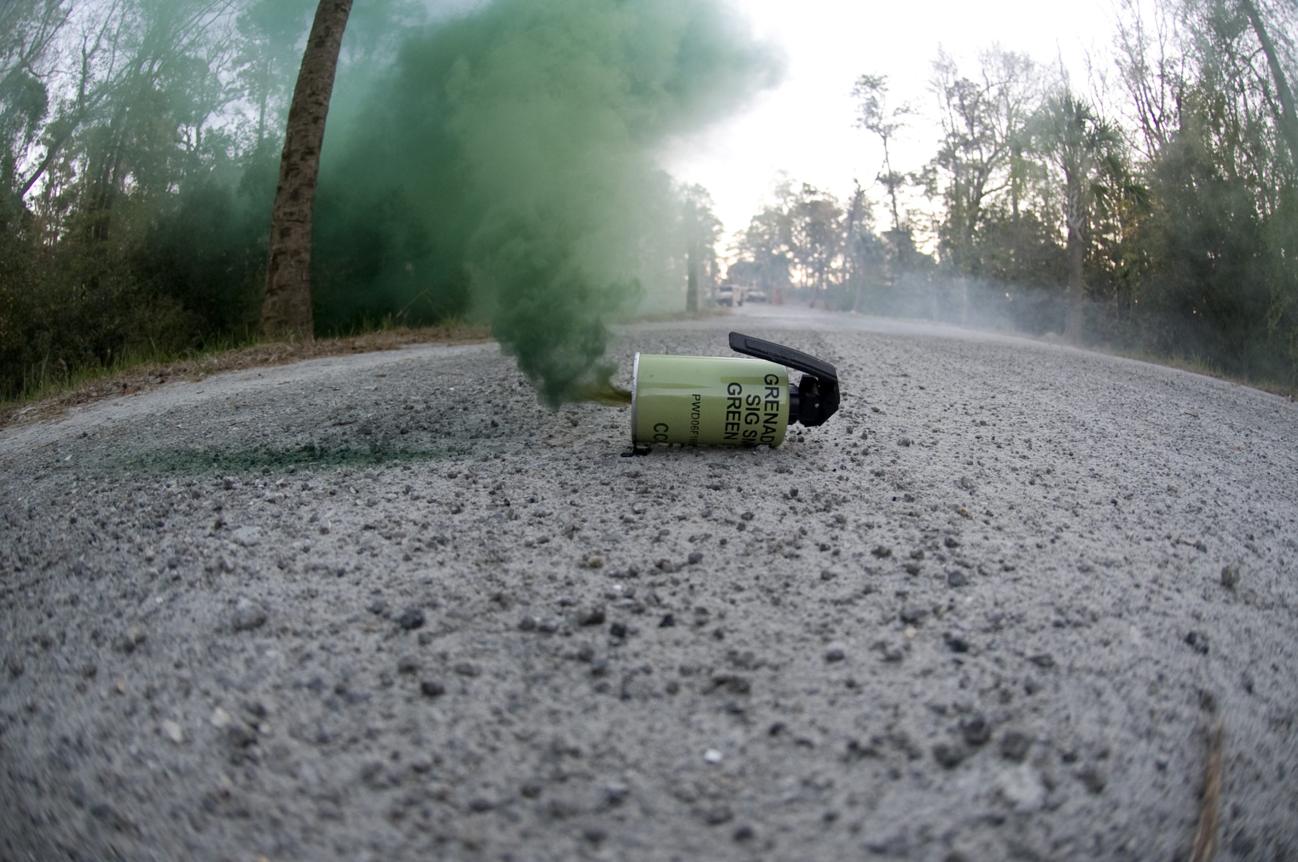 L152A1(Green)